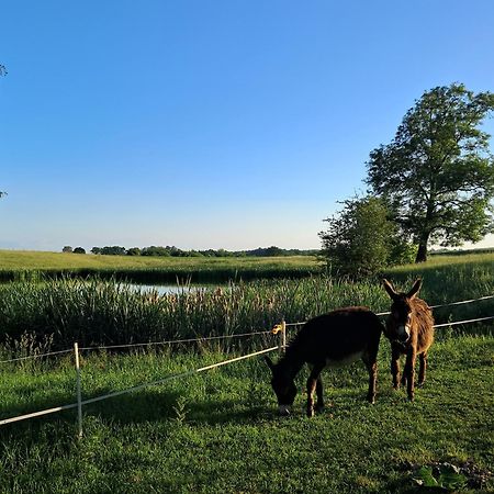 Agroturystyka Nasza Bajka Pieniezno Eksteriør bilde