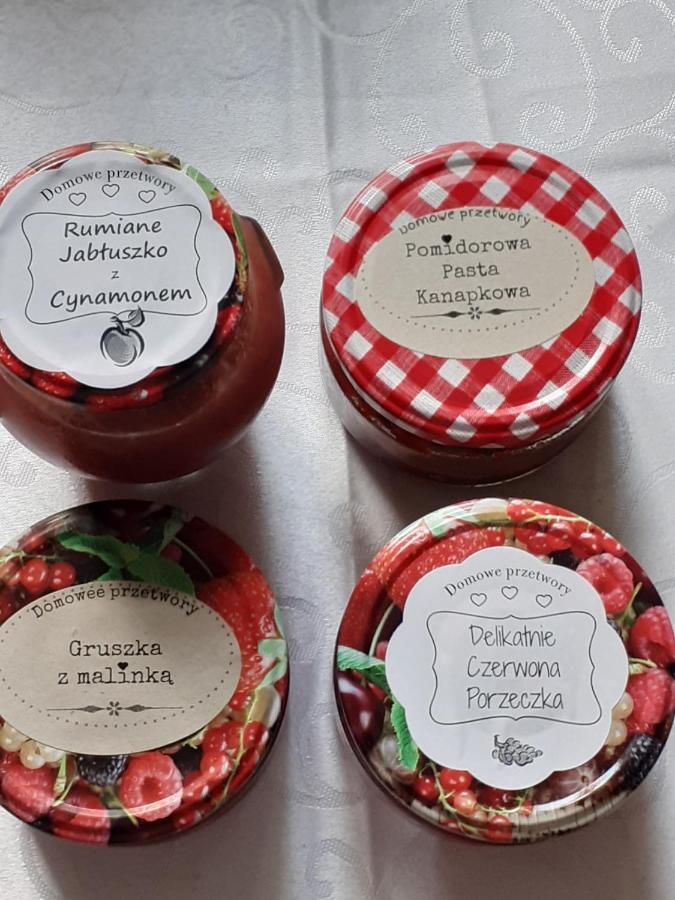 Agroturystyka Nasza Bajka Pieniezno Eksteriør bilde