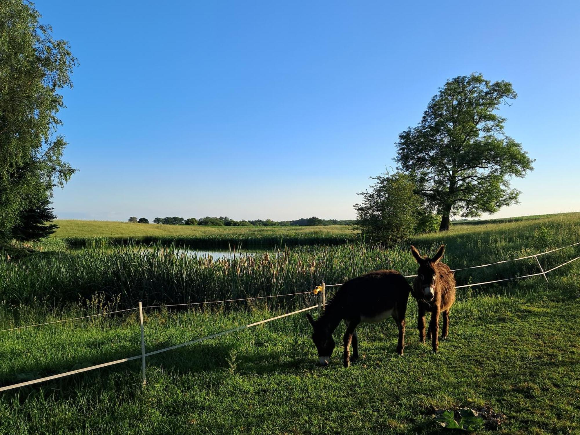 Agroturystyka Nasza Bajka Pieniezno Eksteriør bilde